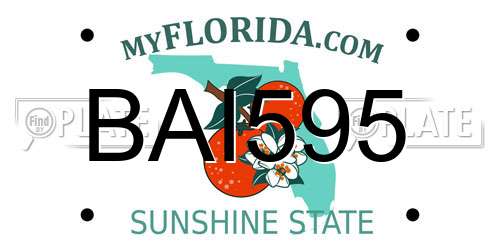 BAI595 Florida License Plate