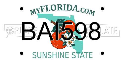 BAI598 Florida License Plate