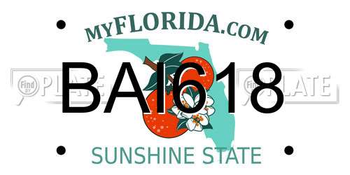BAI618 Florida License Plate
