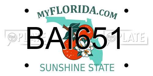 BAI651 Florida License Plate