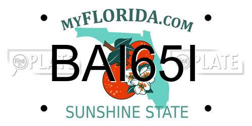 BAI65I Florida License Plate