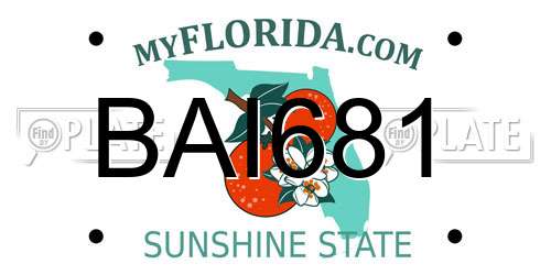 BAI681 Florida License Plate