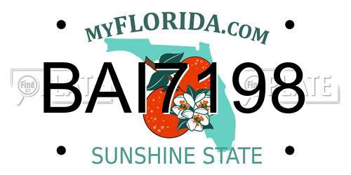BAI7198 Florida License Plate