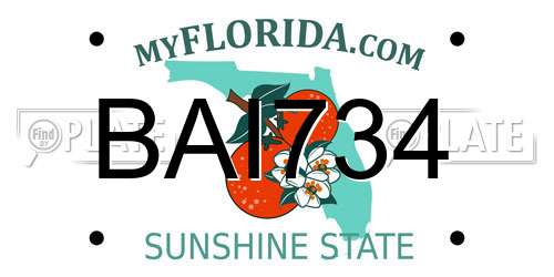 BAI734 Florida License Plate