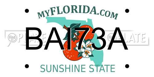BAI73A Florida License Plate