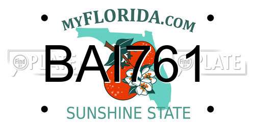 BAI761 Florida License Plate