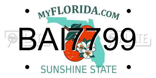 BAI7799 Florida License Plate