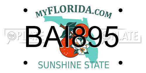 BAI895 Florida License Plate