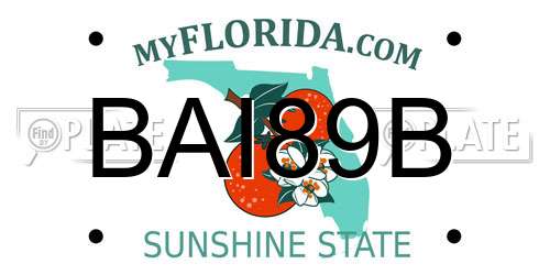 BAI89B Florida License Plate