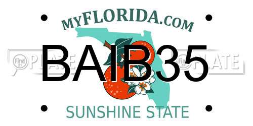 BAIB35 Florida License Plate