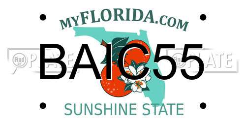 BAIC55 Florida License Plate