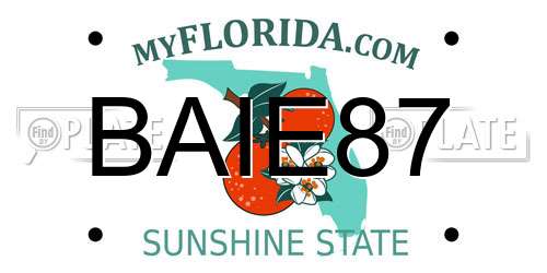 BAIE87 Florida License Plate