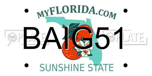 BAIG51 Florida License Plate