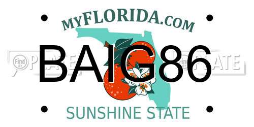 BAIG86 Florida License Plate