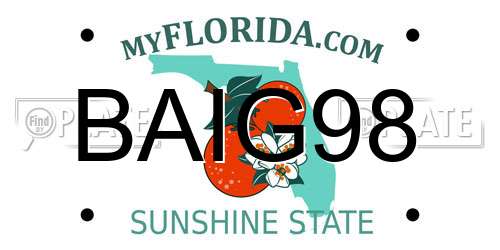 BAIG98 Florida License Plate