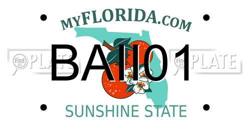 BAII01 Florida License Plate