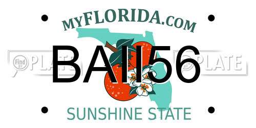 BAII56 Florida License Plate