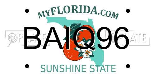 BAIQ96 Florida License Plate