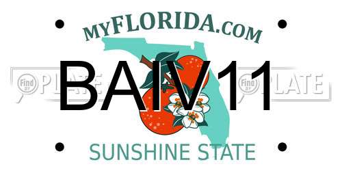 BAIV11 Florida License Plate