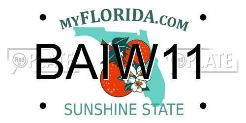 BAIW11 Florida License Plate