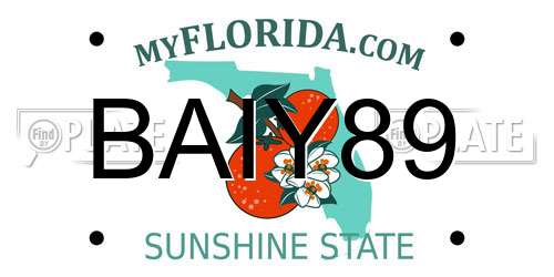BAIY89 Florida License Plate