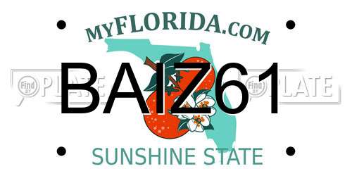BAIZ61 Florida License Plate