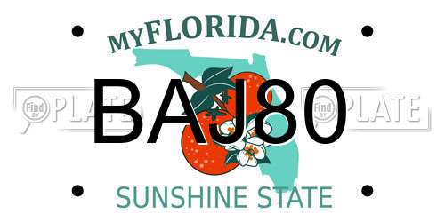 BAJ80 Florida License Plate