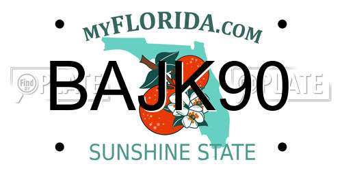 BAJK90 Florida License Plate