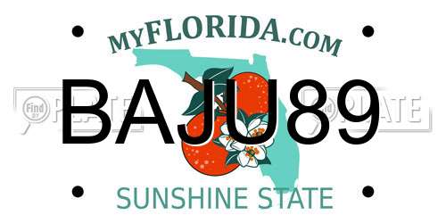 BAJU89 Florida License Plate