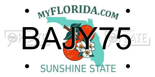 BAJY75 Florida License Plate