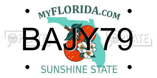 BAJY79 Florida License Plate