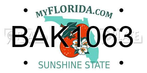 BAK1063 Florida License Plate