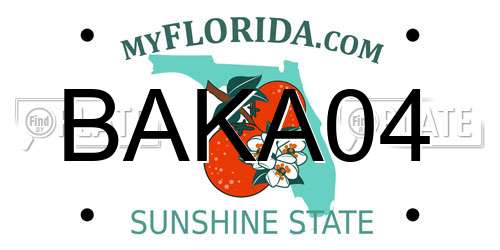 BAKA04 Florida License Plate