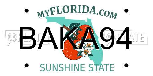 BAKA94 Florida License Plate