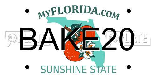 BAKE20 Florida License Plate