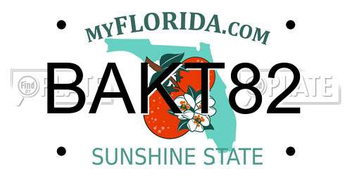 BAKT82 Florida License Plate