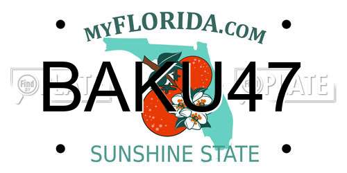 BAKU47 Florida License Plate