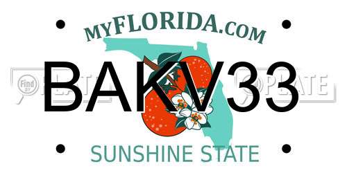 BAKV33 Florida License Plate