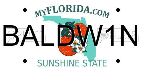 BALDW1N Florida License Plate