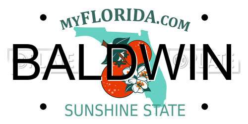 BALDWIN Florida License Plate