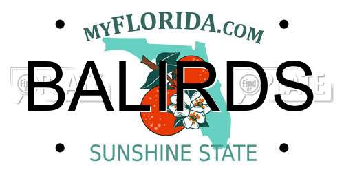BALIRDS Florida License Plate