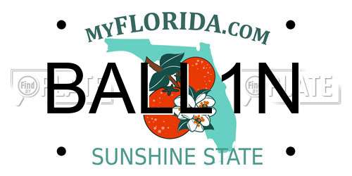BALL1N Florida License Plate