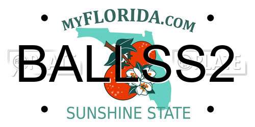 BALLSS2 Florida License Plate