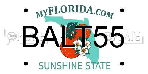BALT55 Florida License Plate