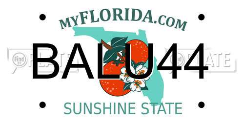 BALU44 Florida License Plate