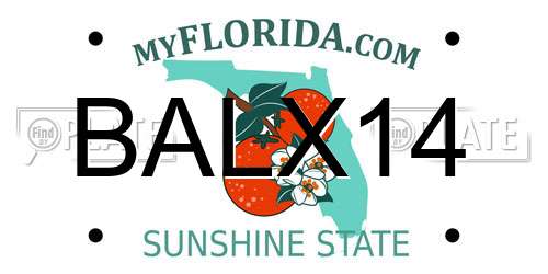 BALX14 Florida License Plate