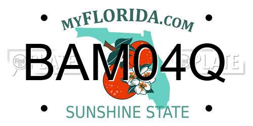 BAM04Q Florida License Plate