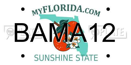 BAMA12 Florida License Plate