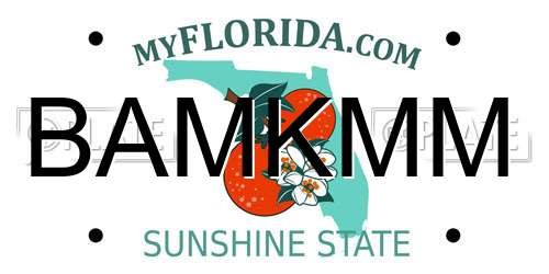 BAMKMM Florida License Plate