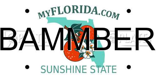 BAMMBER Florida License Plate